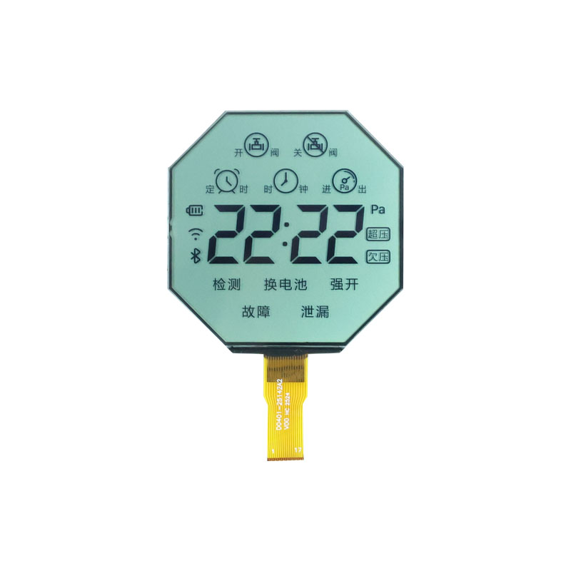 అష్టభుజి విభాగం LCD